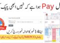 How to Check Electricity Bill Paid or Not MEPCO in Pakistan 2025 9 How to Check Electricity Bill Paid or Not MEPCO in Pakistan