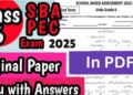 School Based Assessment (SBA) 2025 | Grade 6 With Answers Keys In PDF 13 School Based Assessment 2025