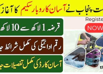 CM Punjab Asaan Karobar Finance Loan Scheme 2025 Apply Online 1 CM Punjab Asaan Karobar Finance Loan Scheme 2025 Apply Online
