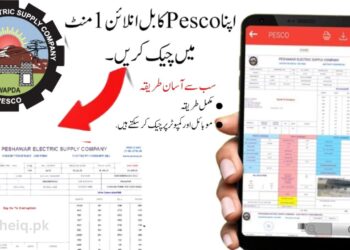 How to Check Electricity Bill Paid or Not PESCO in Pakistan