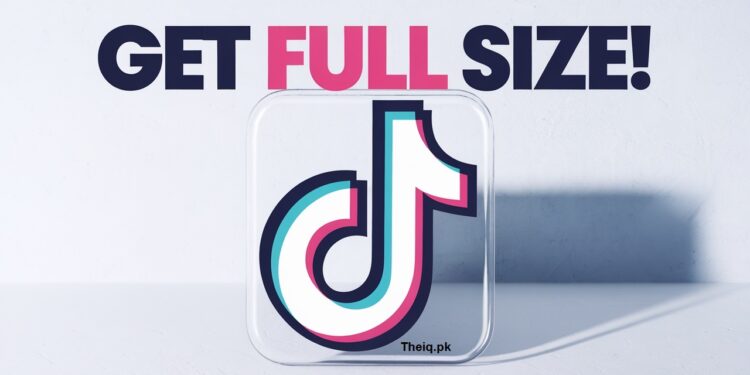 How to Download TikTok Profile Pictures in Full Size