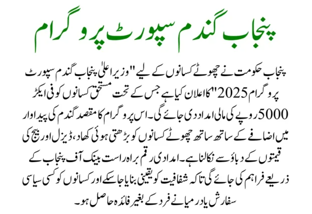 CM Punjab Wheat Support 2025: Farmers Get PKR 5000/Acre 2 CM Wheat Support Program 2025