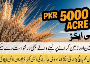 CM Punjab Wheat Support 2025: Farmers Get PKR 5000/Acre 8 CM Punjab Wheat Support 2025 apply online