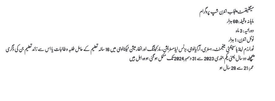 CM Punjab internship program