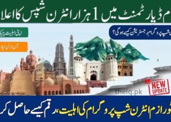 Chief Minister's Magnificent Tourism Internship Program apply online